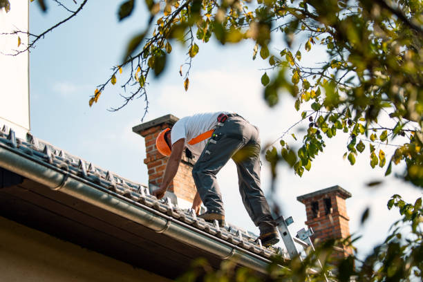Best Roof Ventilation Installation  in Vicksburg, MS