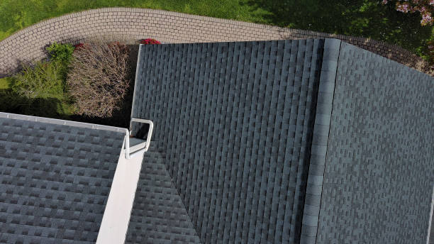 Best Roof Moss and Algae Removal  in Vicksburg, MS